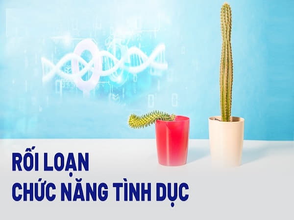 Rối loạn tình dục là gì?