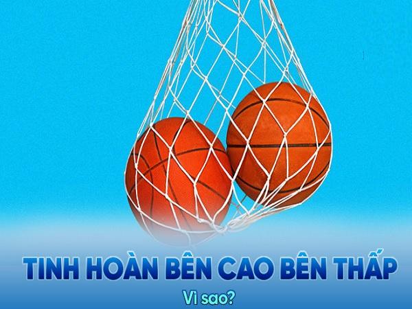 Tinh hoàn bên cao bên thấp là gì?